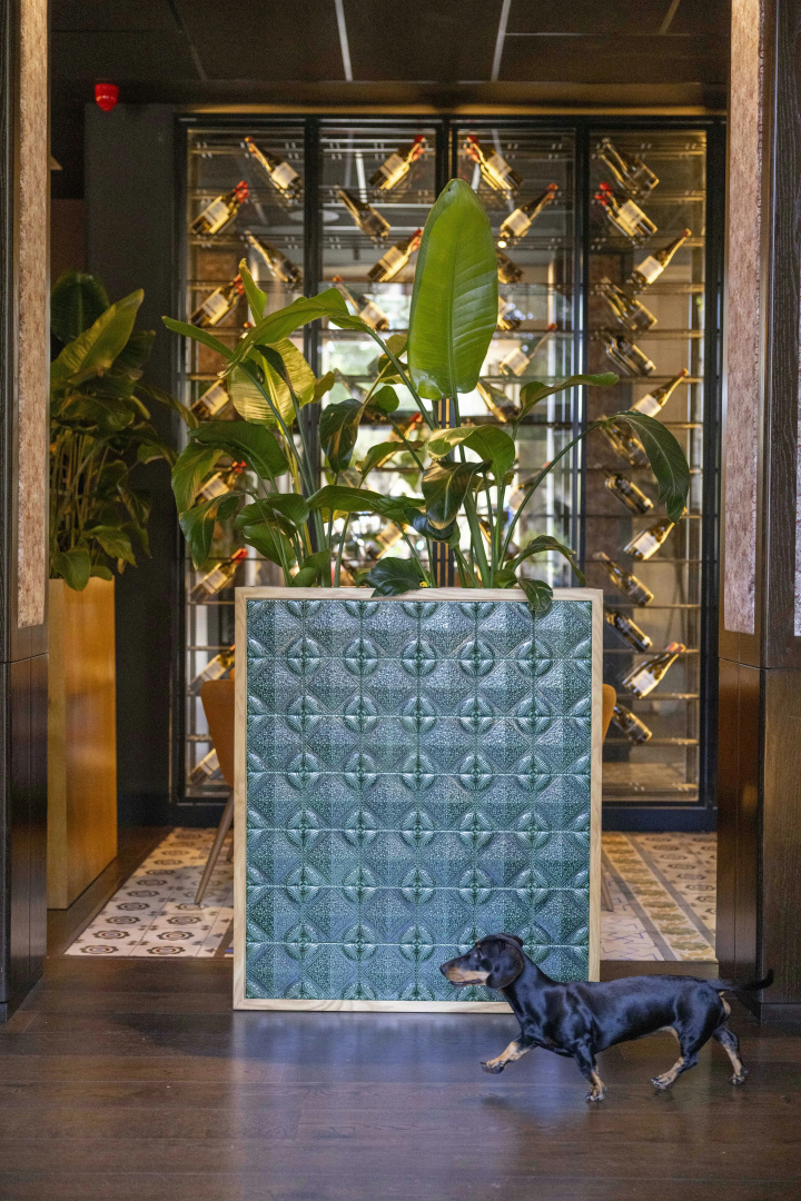 Foto - Cavalta Boutique Hotel – Small Luxury Hotel