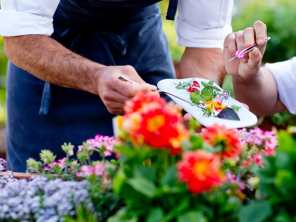 Photo - The Cook Book Gastro Boutique Hotel & Spa
