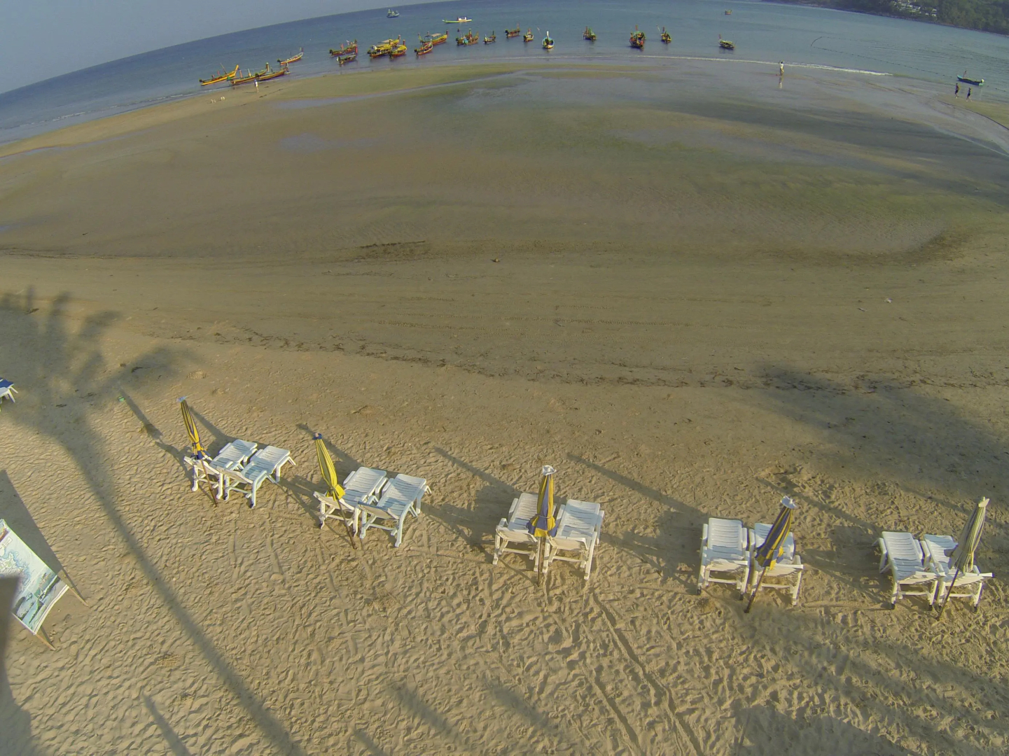 Foto - Kamala Dreams