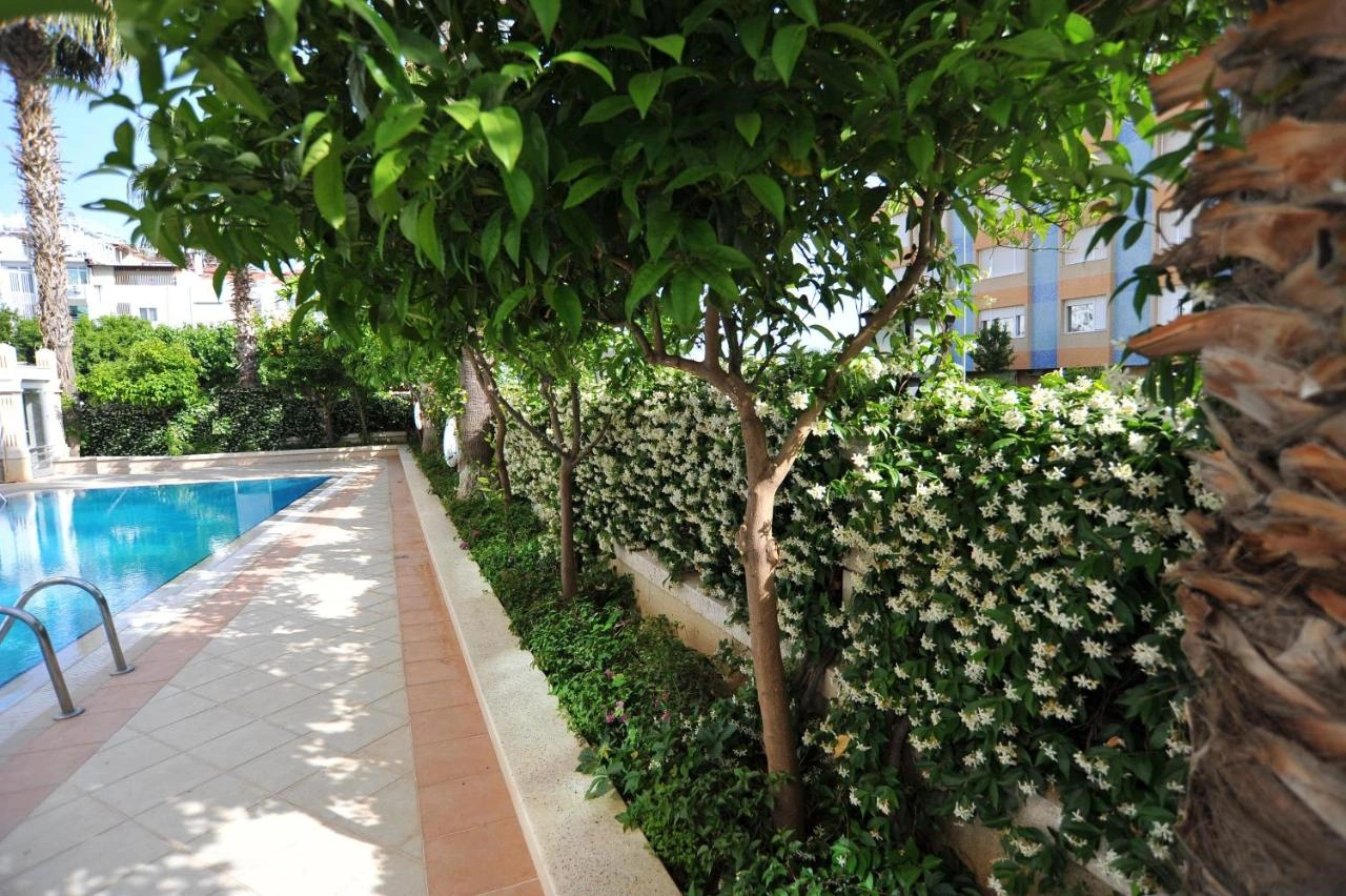 Foto - Hotel Royal Hill