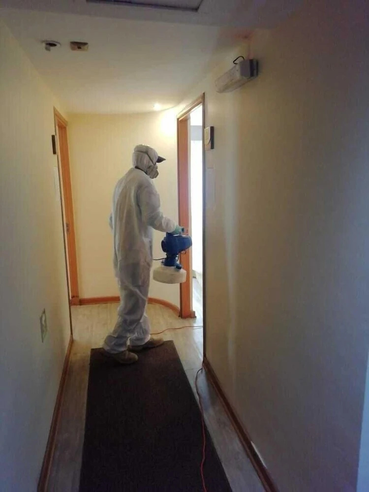 Foto - Hotel Boutique Reyall