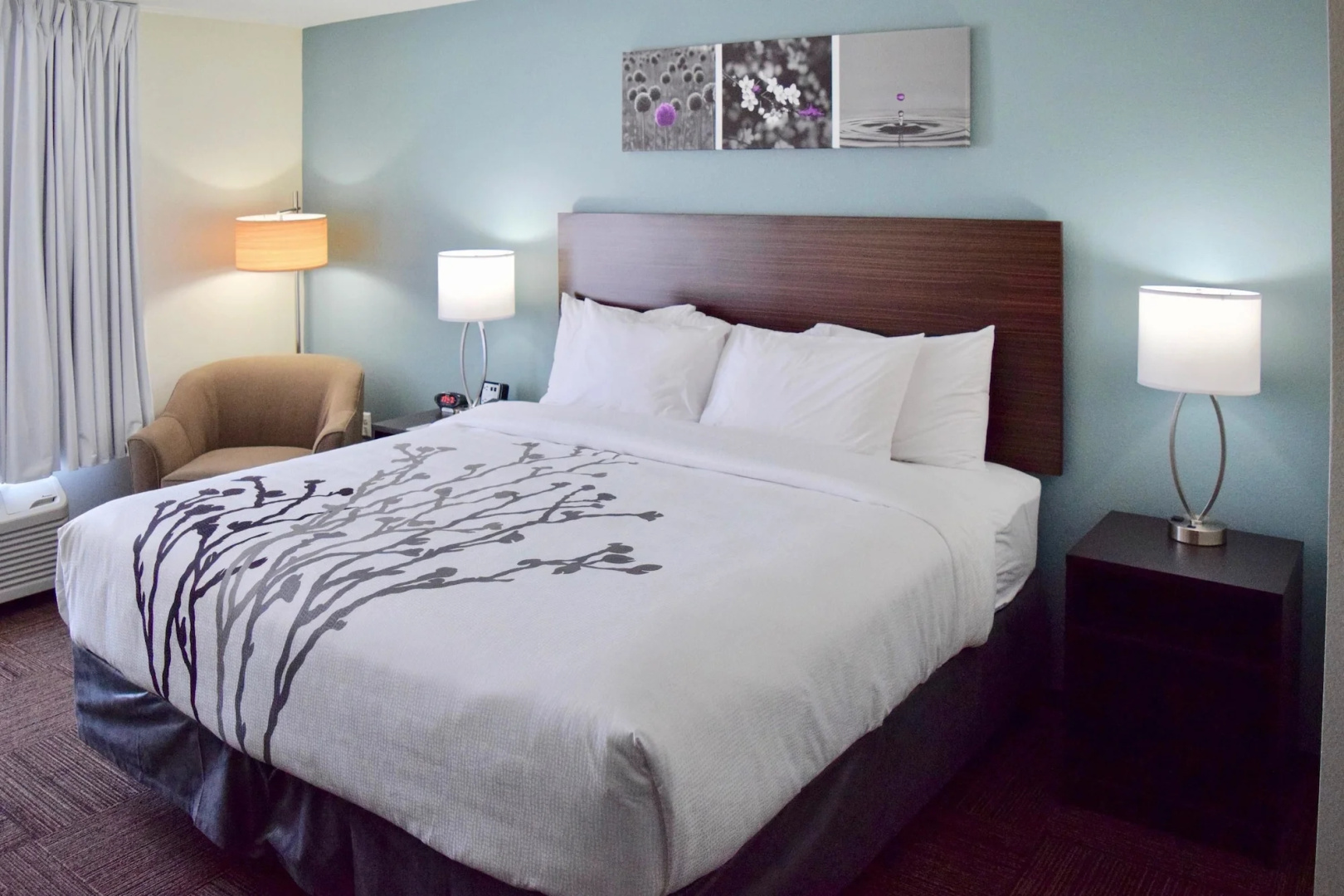 Photo - Sleep Inn & Suites near Westchase
