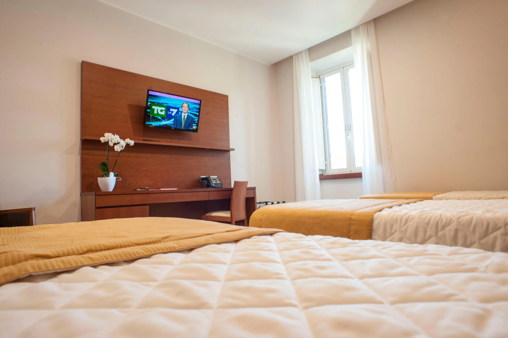 Foto - Villa Angelina