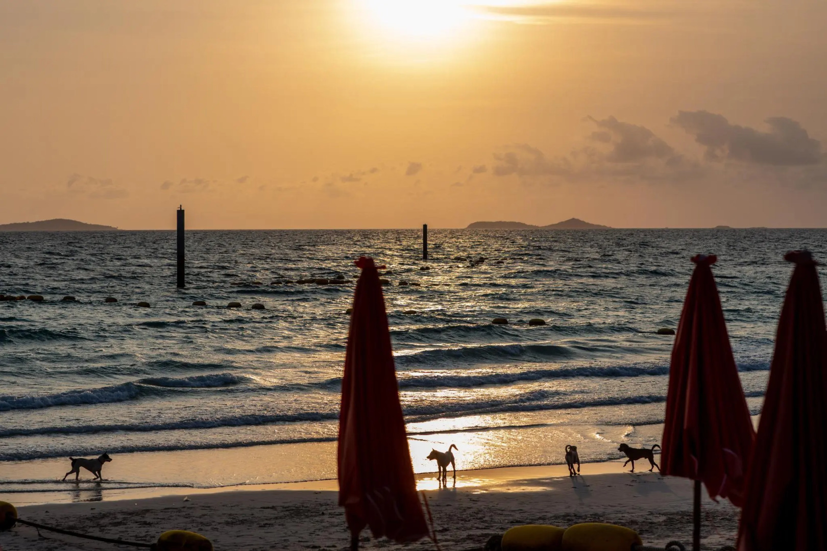 Foto - Xanadu Beach Resort