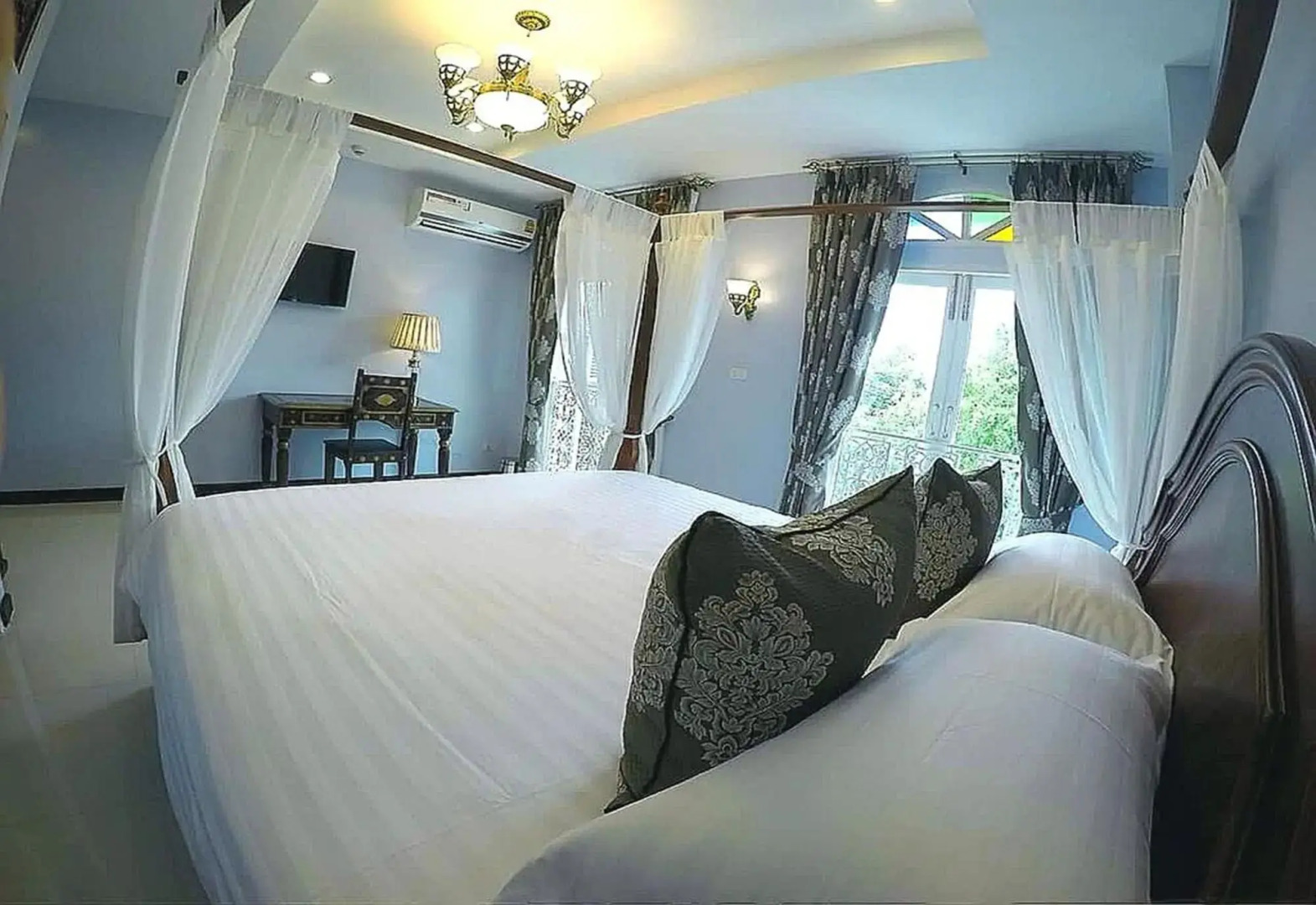 Foto - The Velvet Orchid