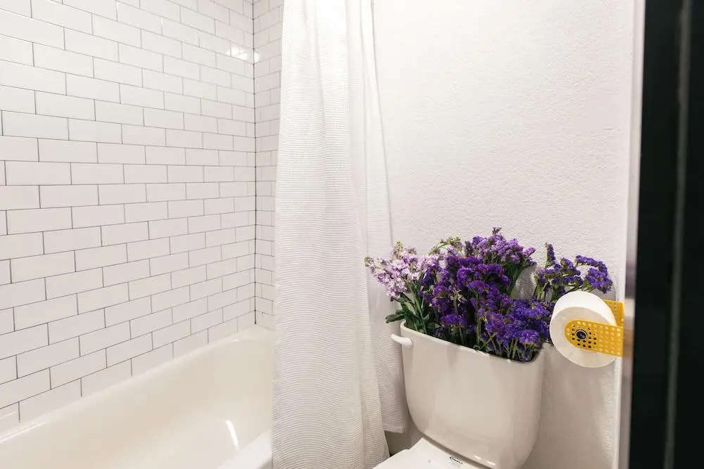 Foto - The Iris Motel