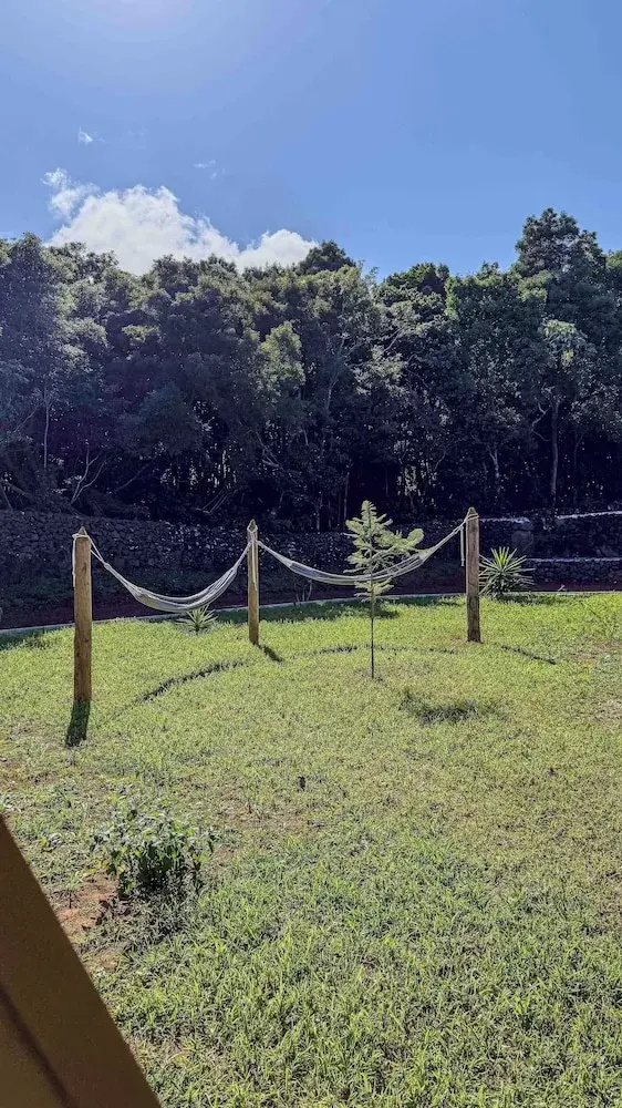 Foto - Quinta do Ícaro - Nature Living