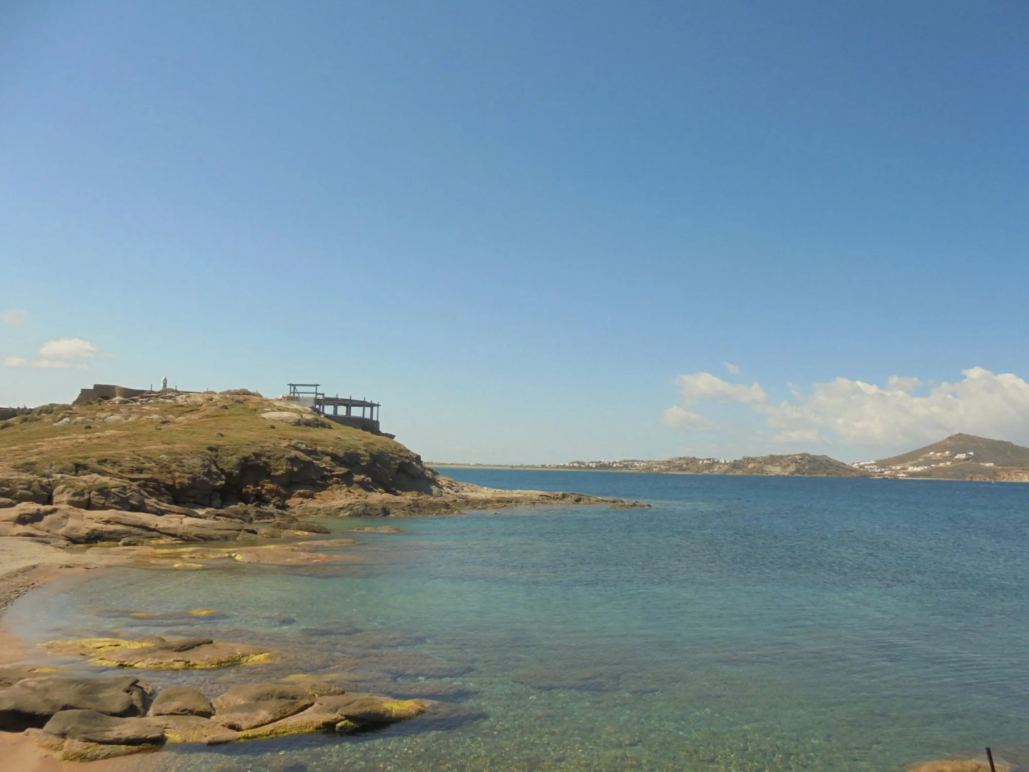 Photo - Georgia Mare