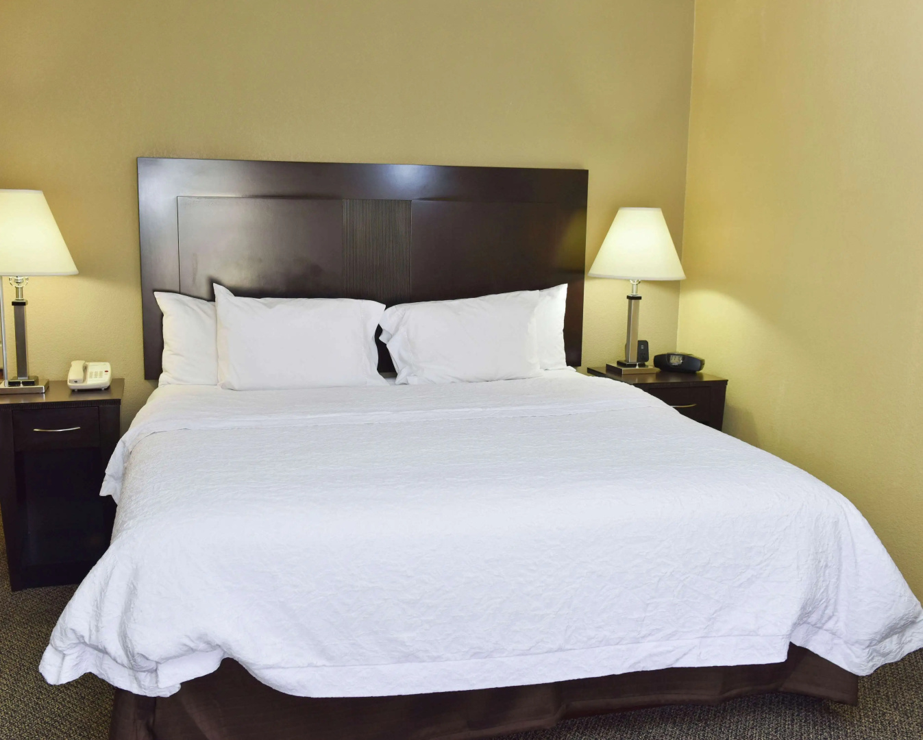 Foto - Hampton Inn & Suites Alexandria