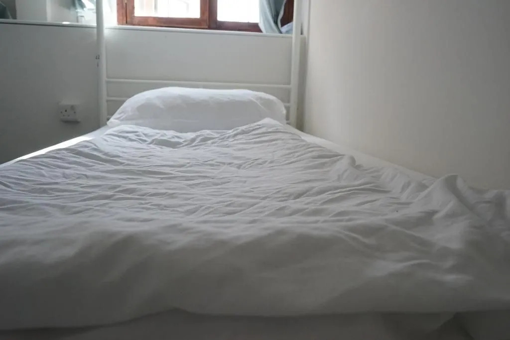 Photo - The Walrus Bar and Hostel