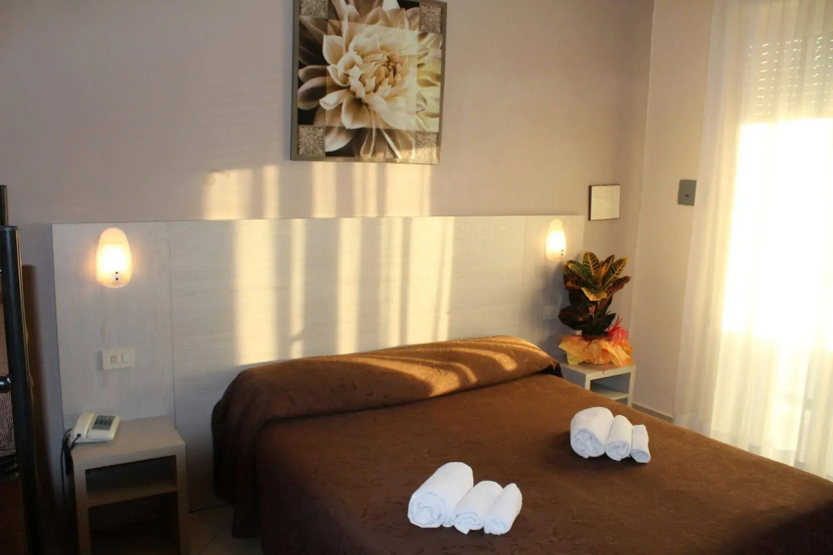 Foto - Hotel Senyor