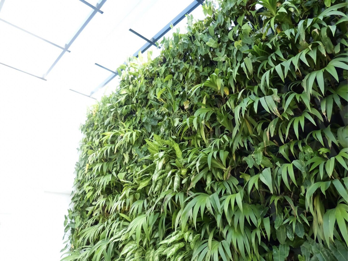 Photo - Morven Hotel Colombo