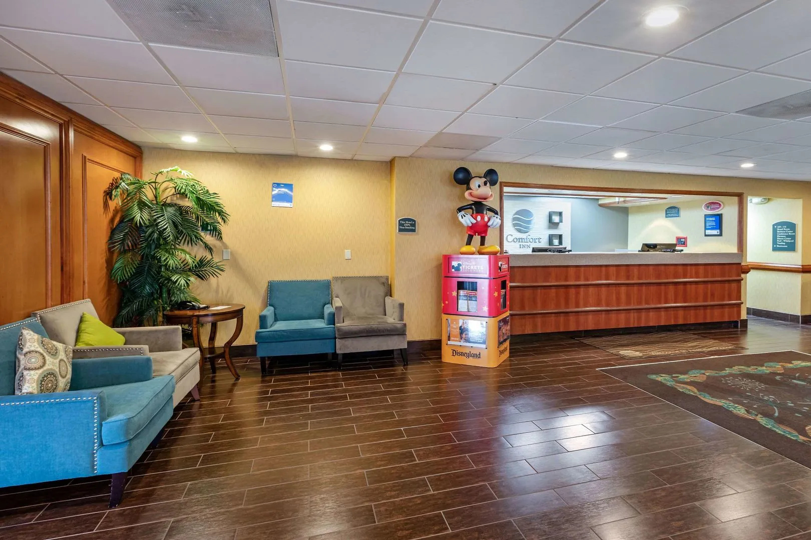 Foto - Comfort Inn Anaheim Resort