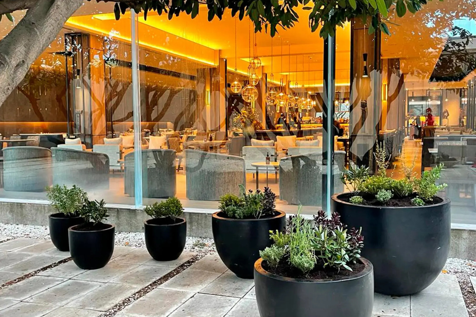 Photo - Hotel Cabo De Hornos