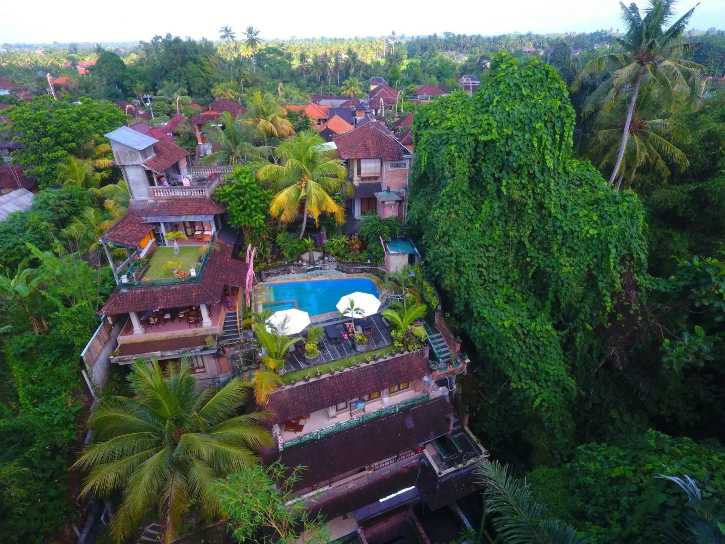 Photo - Ketut's Place Bed & Breakfast Ubud