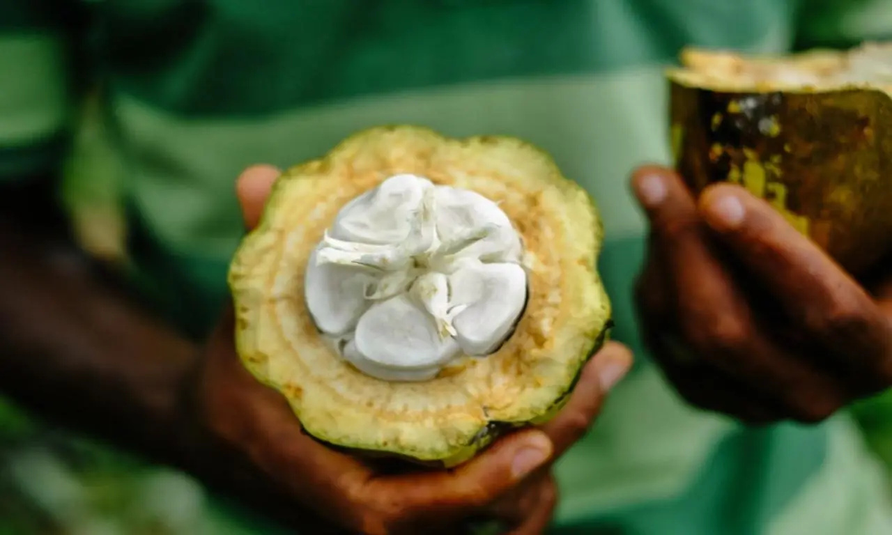 Photo - Omali São Tomé – Principe Collection