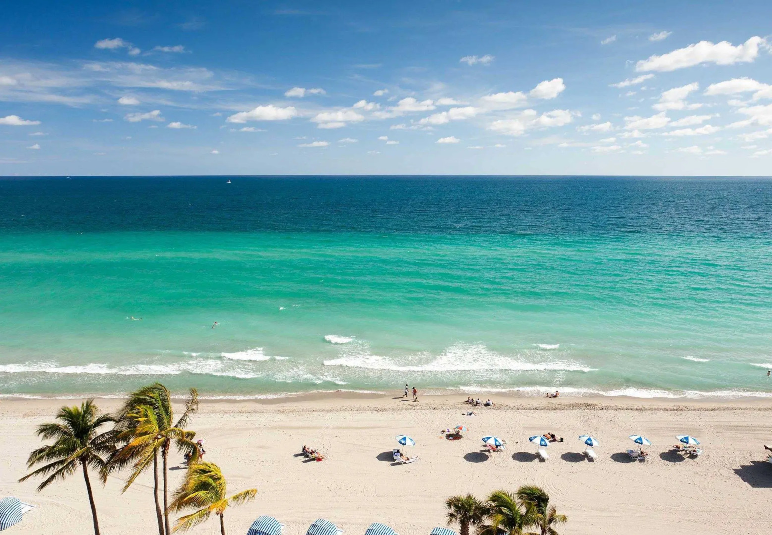 Foto - Hollywood Beach Marriott