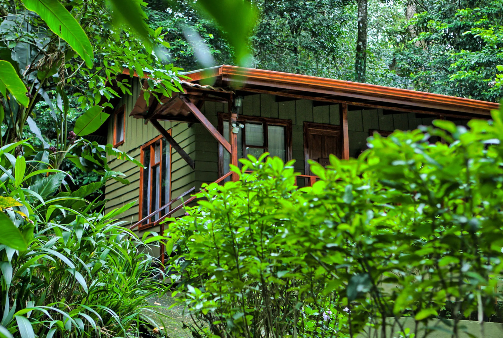Foto - Jaguarundi Lodge