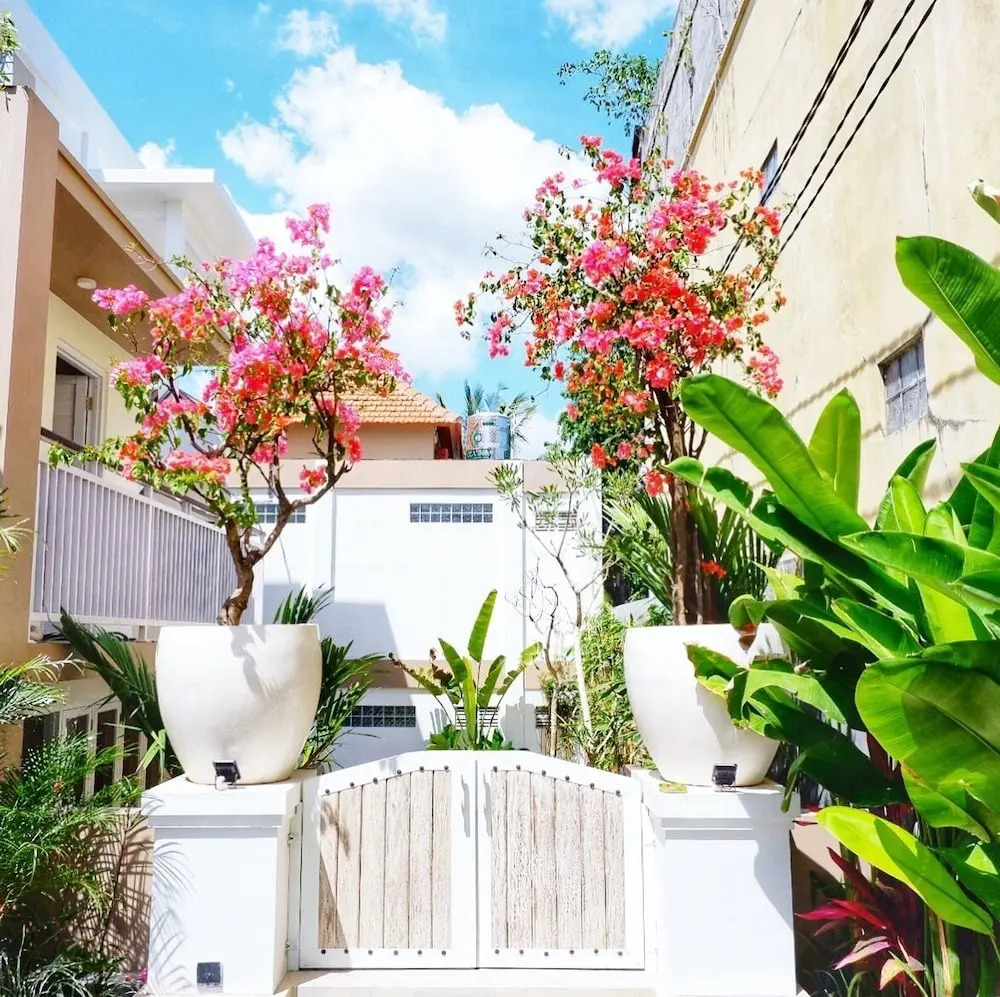 Photo - The Sloth Bali