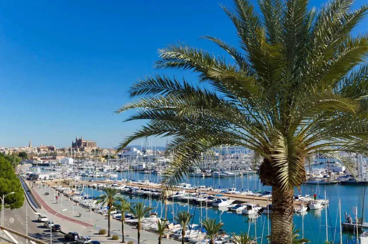 Photo - Hotel Mirador