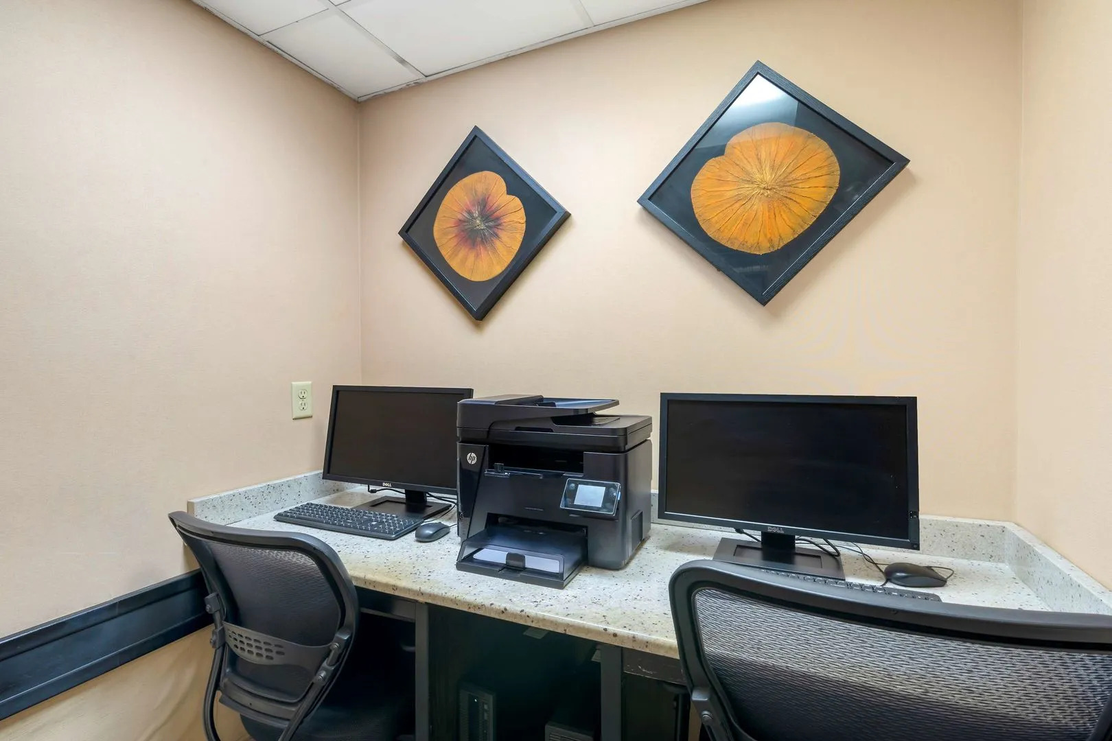 Foto - Spark by Hilton Orlando near SeaWorld