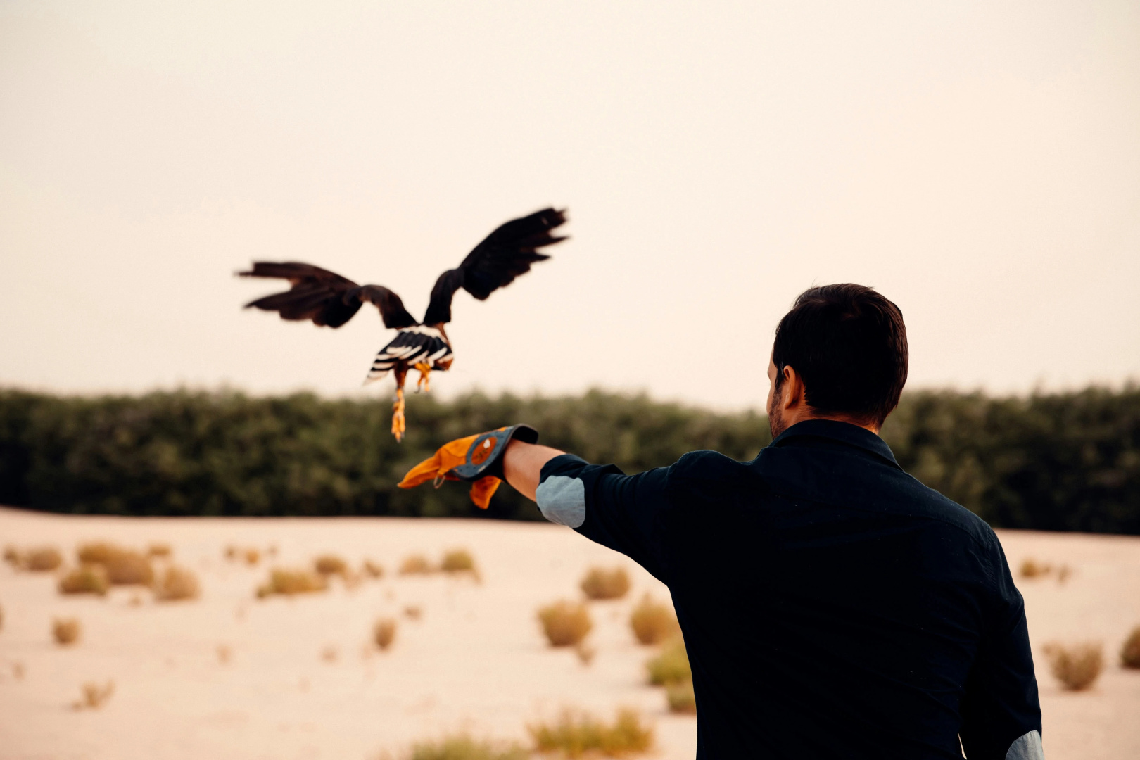 Foto - Al Wathba, a Luxury Collection Desert Resort & Spa, Abu Dhabi