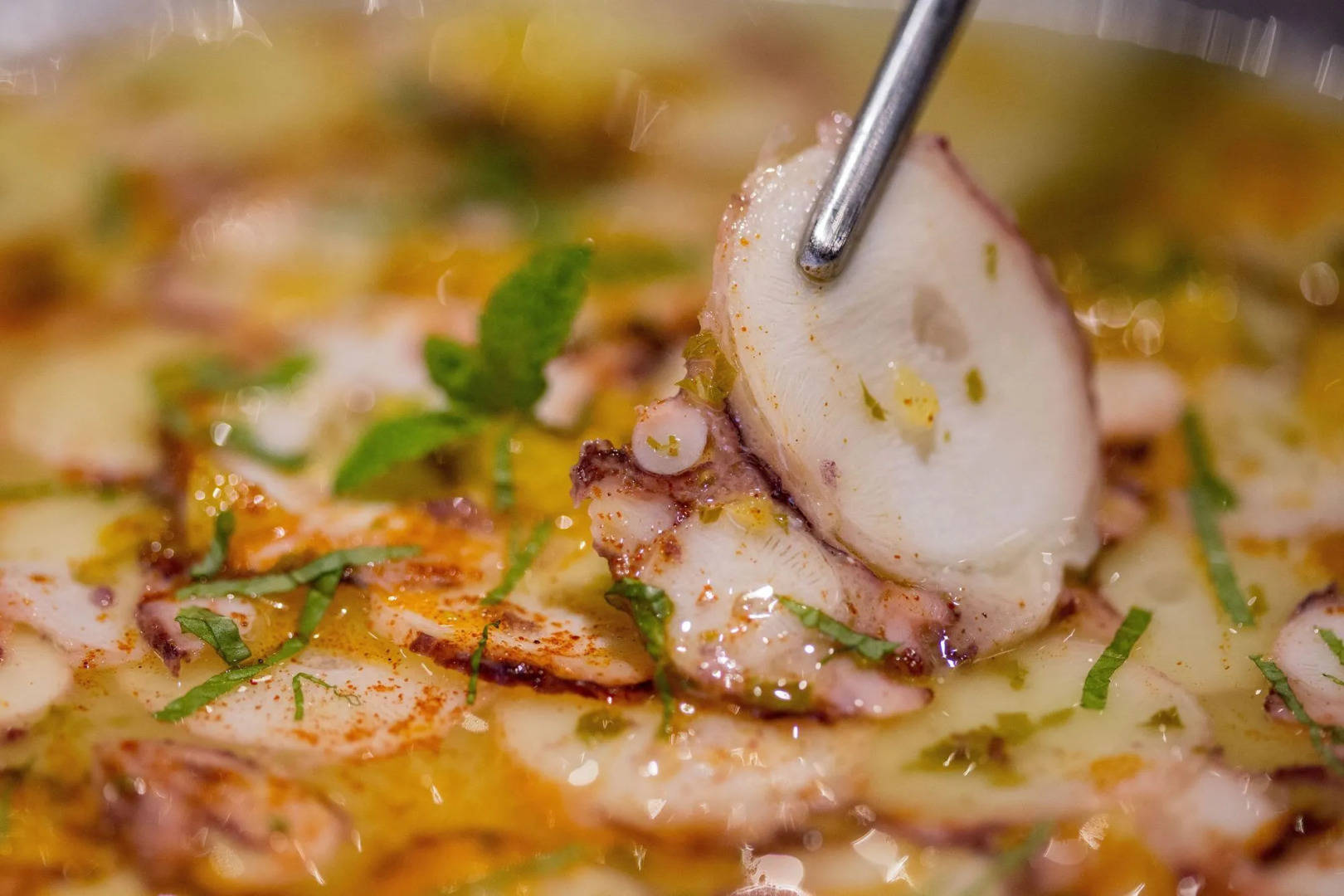 Foto - Rooms Ciencias