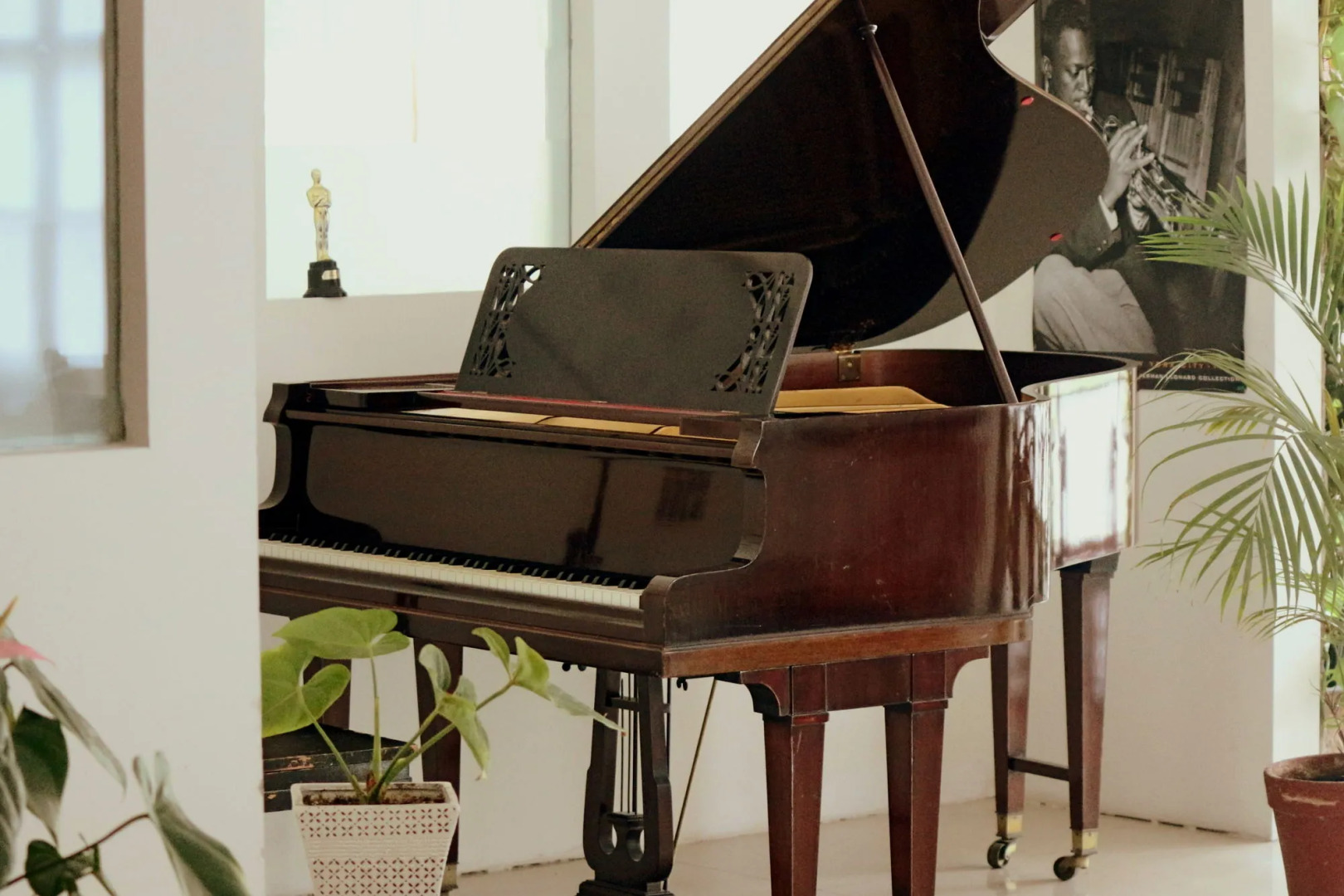 Foto - Hotel San Martin