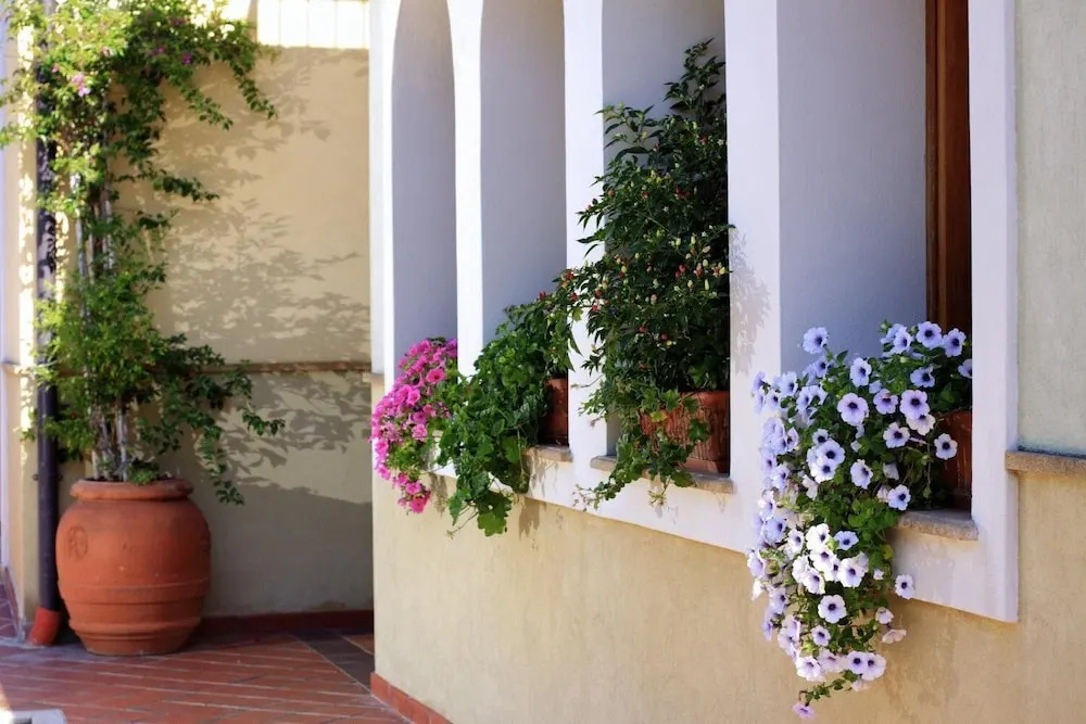 Photo - Hotel L'Ulivo