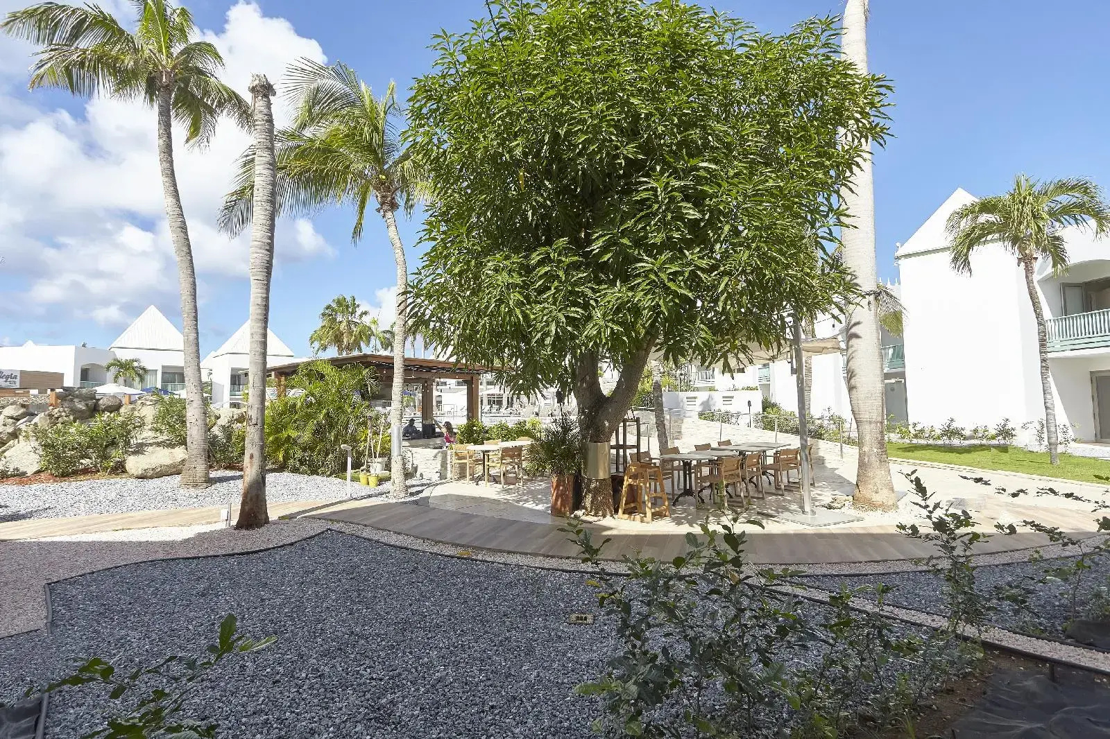Foto - Courtyard by Marriott Aruba Resort