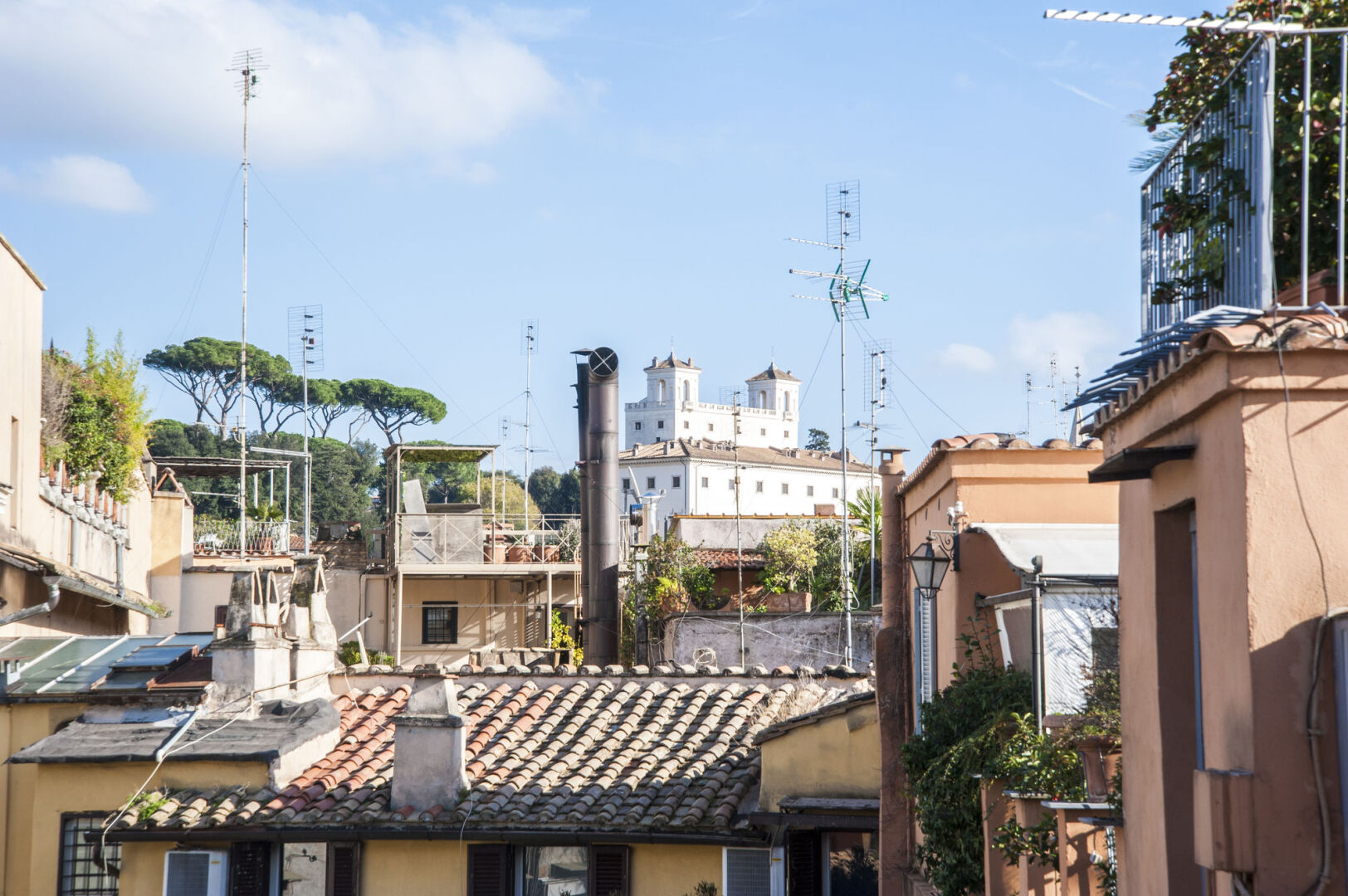 Foto - Rarity Suites