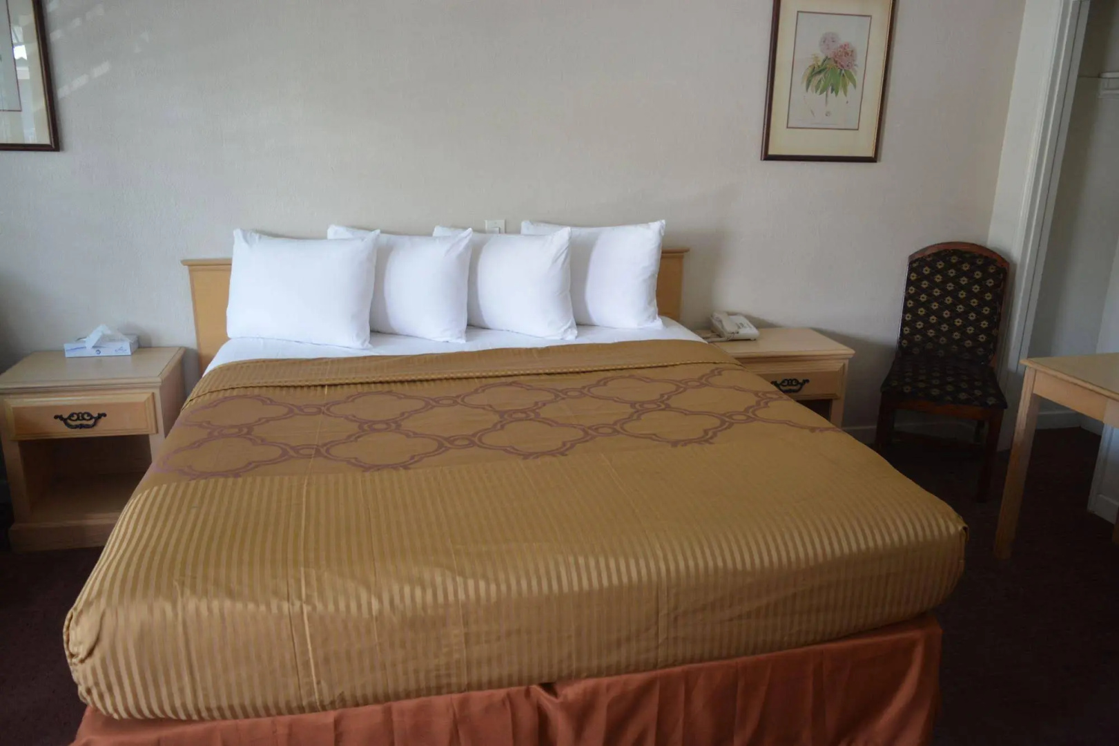 Foto - Welcome Inn