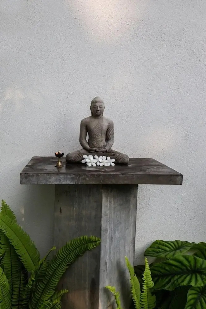 Foto - Breeze of Paradise