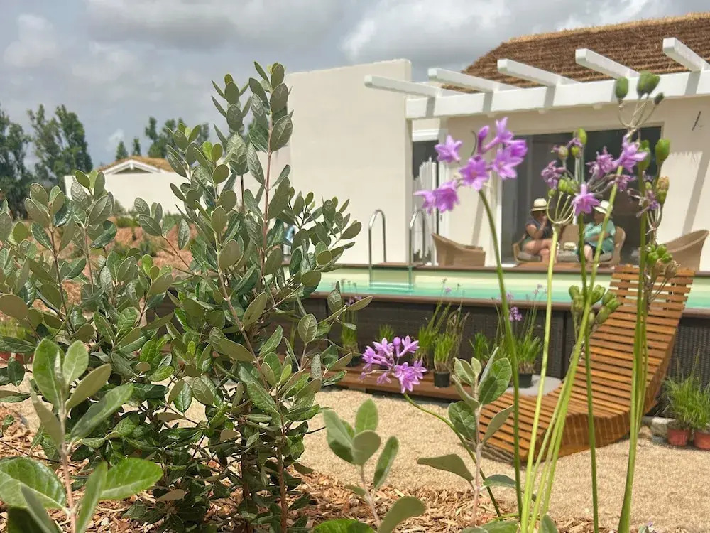 Foto - Is Cheas wine farm boutique hotel