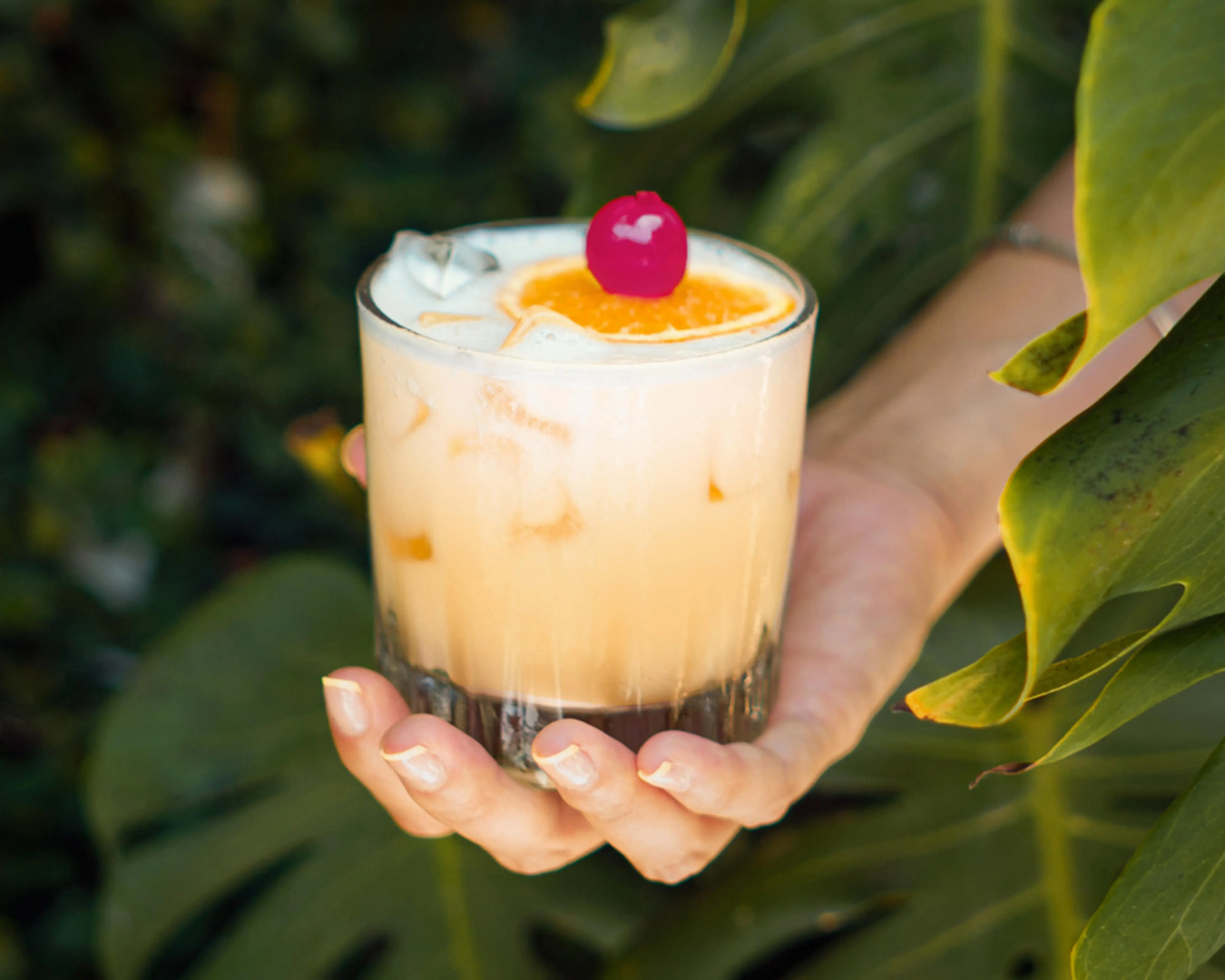 Foto - The Xperience by g