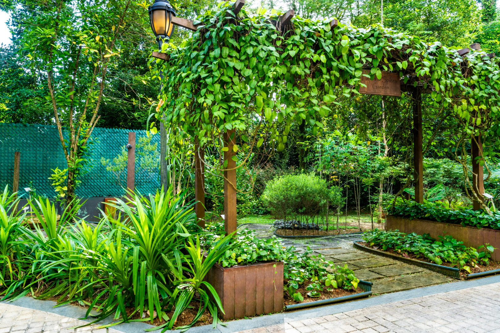 Foto - Treetops Executive Residences