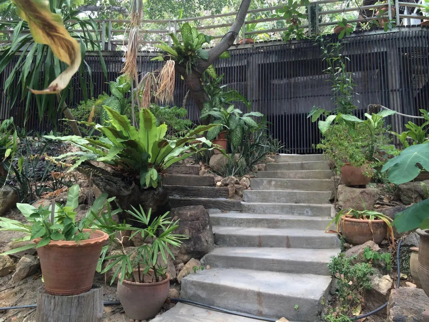 Photo - Chaweng Park Place