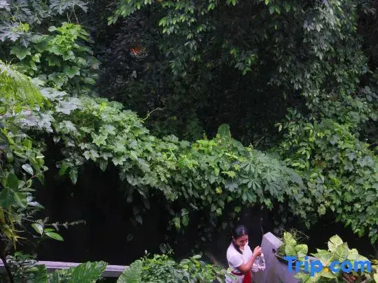 Foto - Sari Gong Guest House, A Trishula Collection