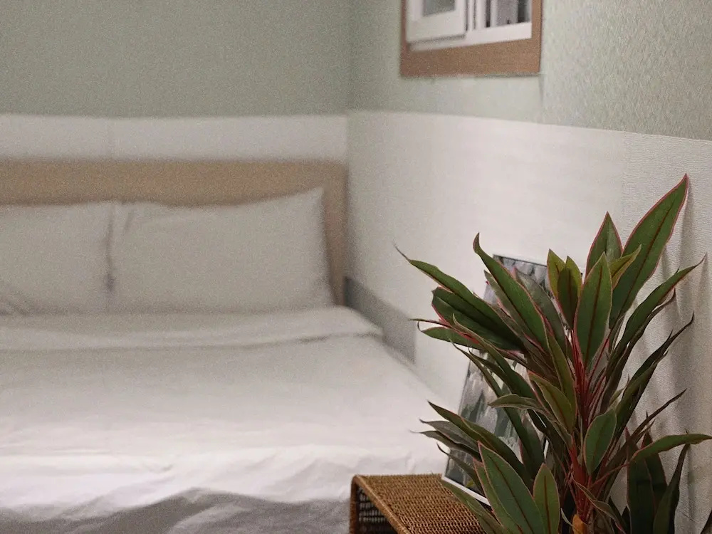 Photo - Jnineguesthouse