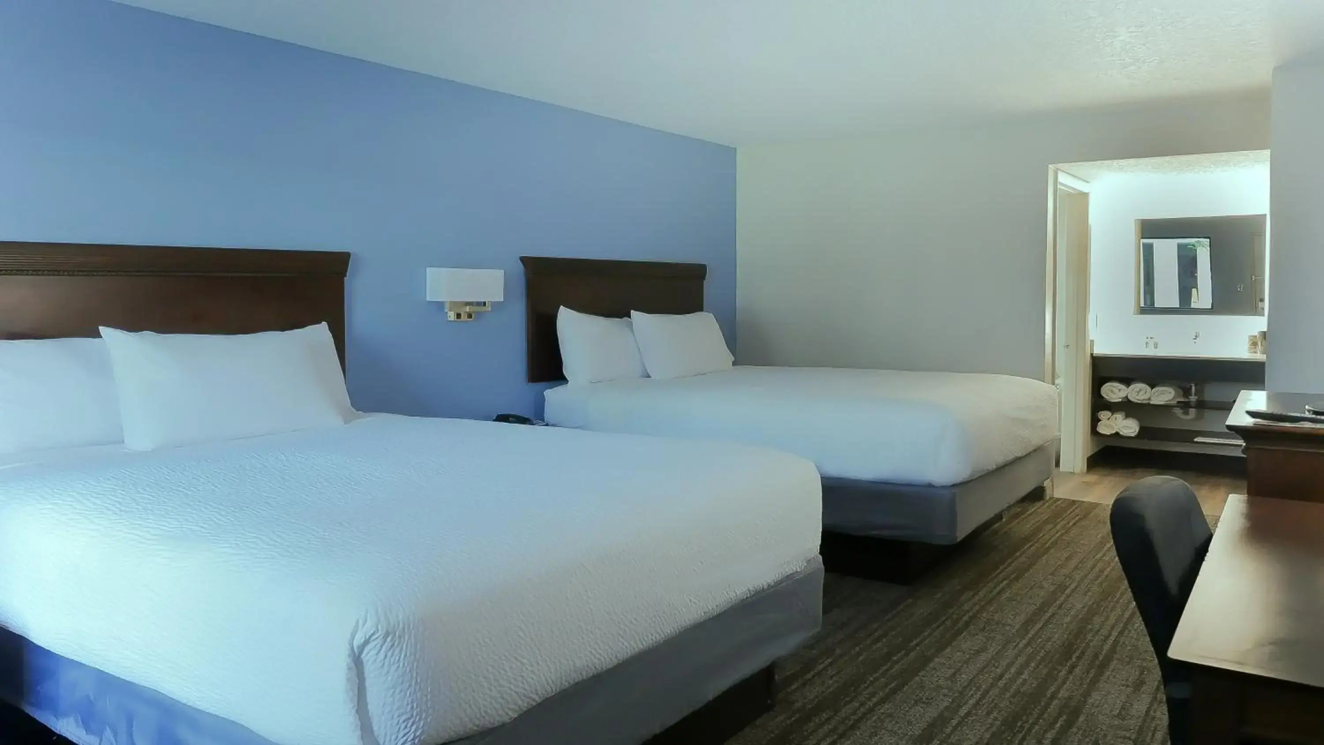 Foto - Hotel South Tampa & Suites