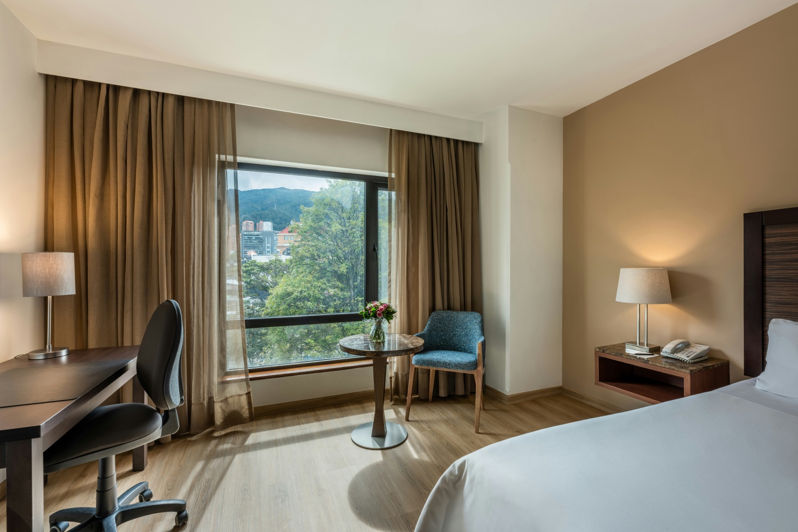Foto - Hotel Morrison Zona Rosa