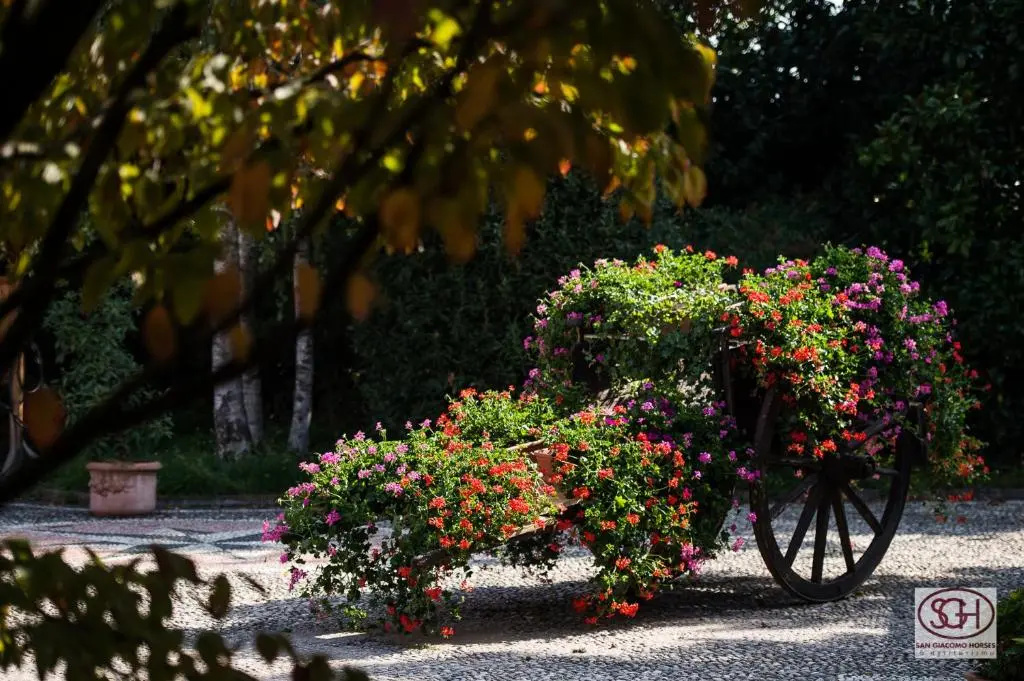 Foto - San Giacomo Horses & Agriturismo