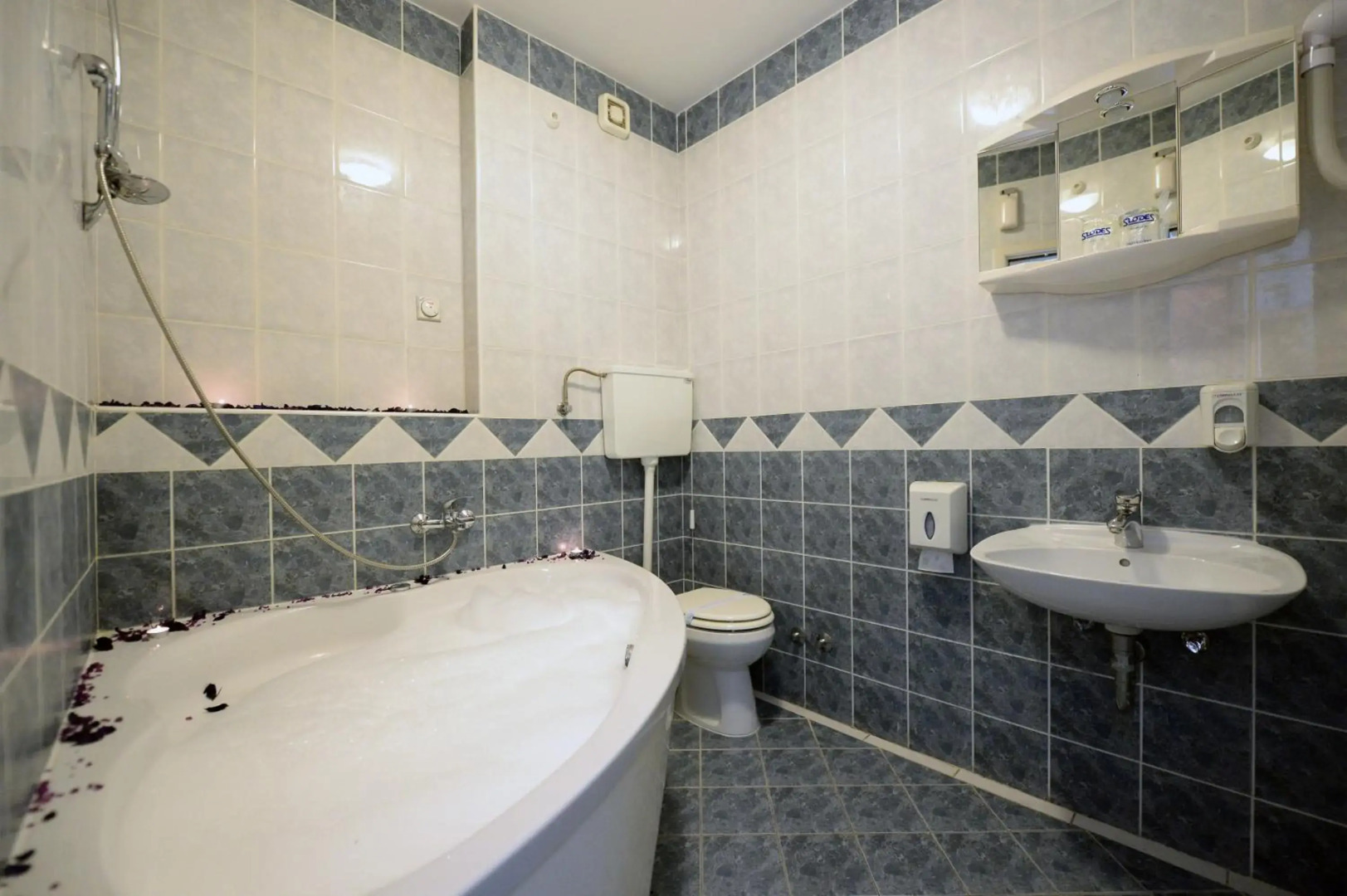 Foto - Hotel Slodes