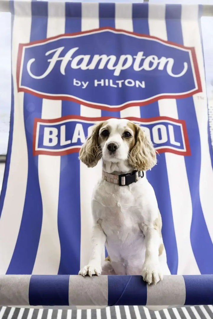 Foto - Hampton by Hilton Blackpool