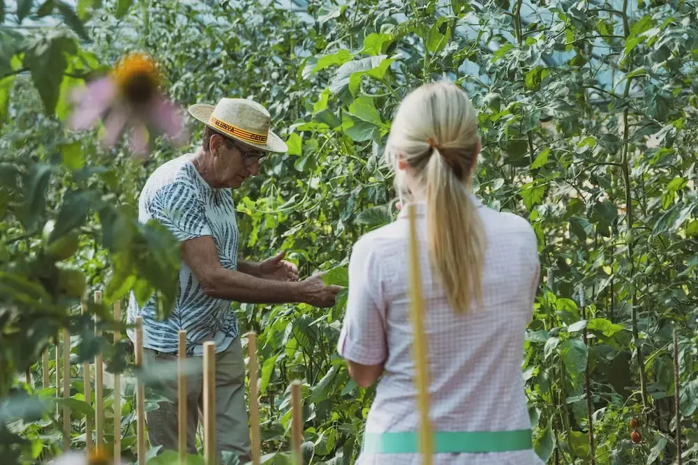 Photo - Cerdanya Viva Ecoestades