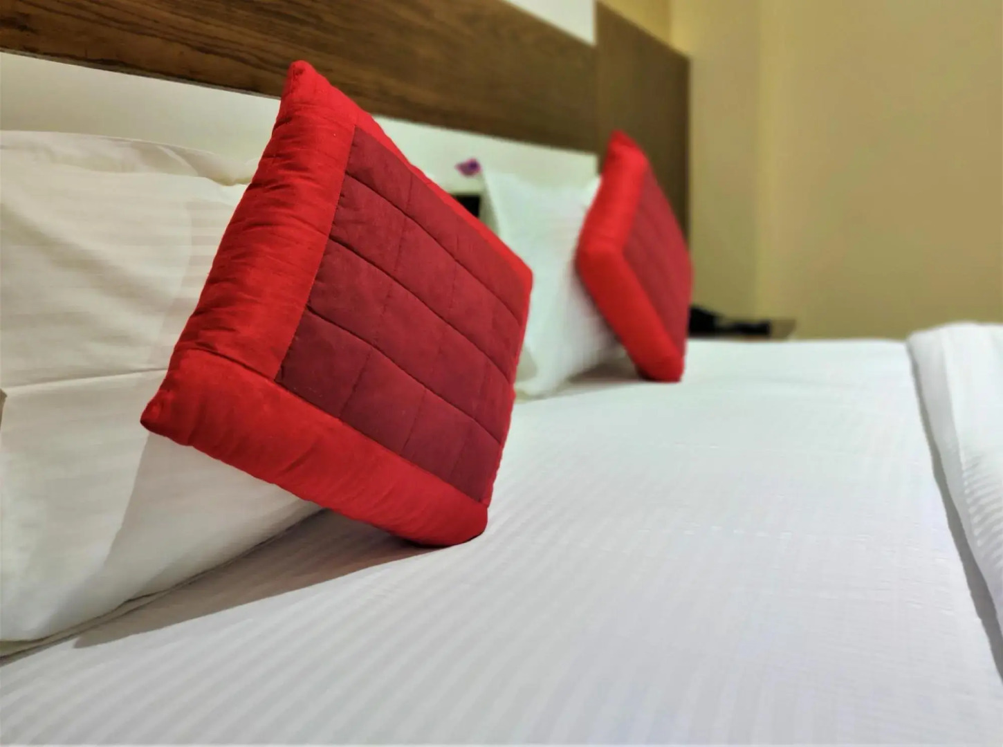 Foto - Hotel Raj Mahal Inn Near New Delhi Railway Station