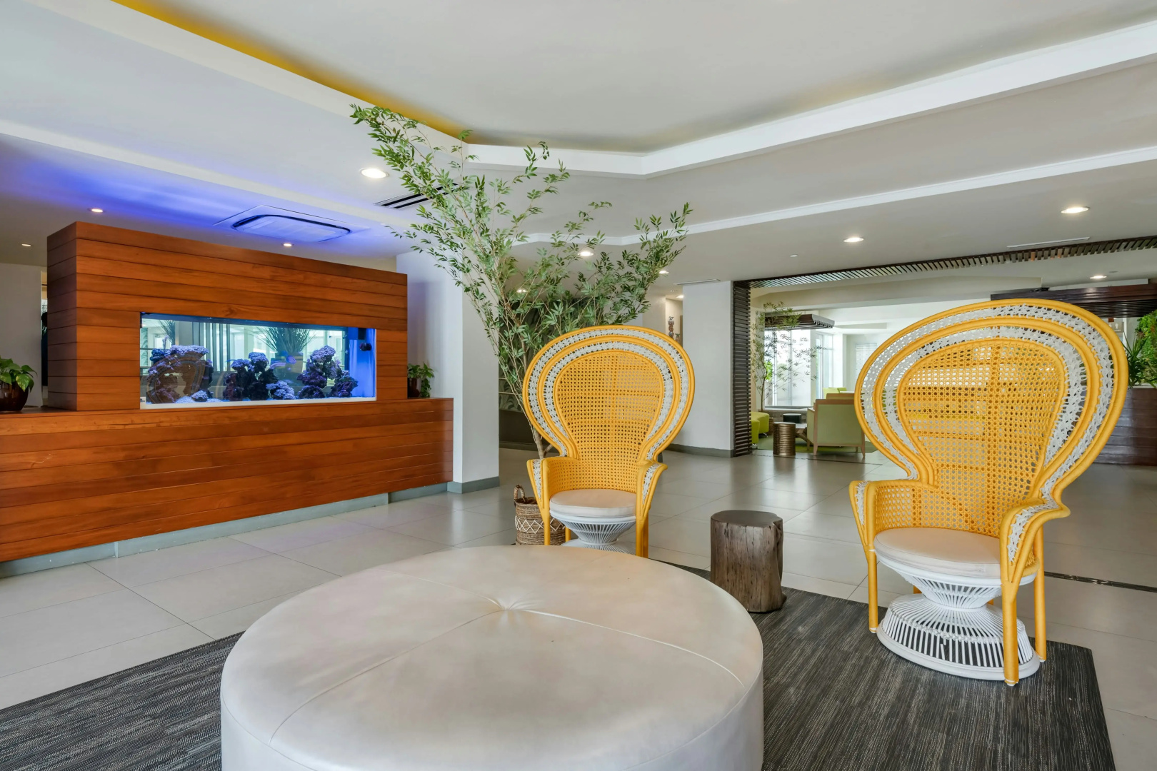 Photo - Condado Palm Inn San Juan, Tapestry Collection by Hilton