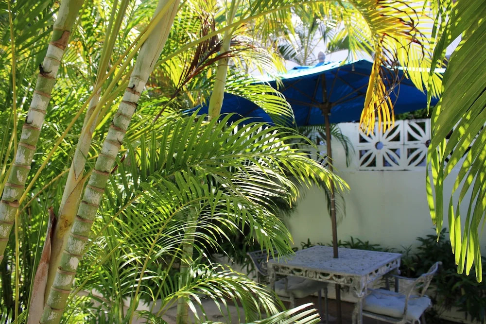 Foto - Numero Uno Beach Apartments