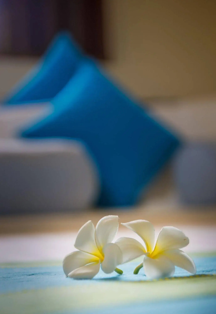 Photo - Zylan Colombo