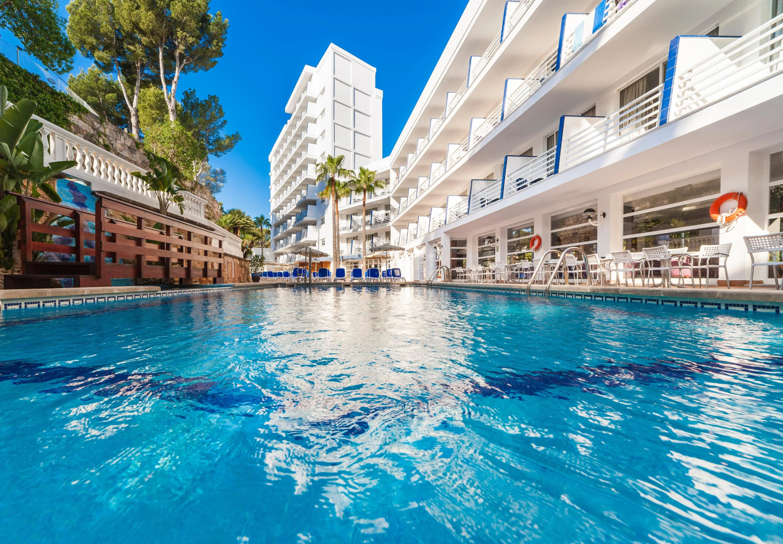 Foto - Globales Palmanova